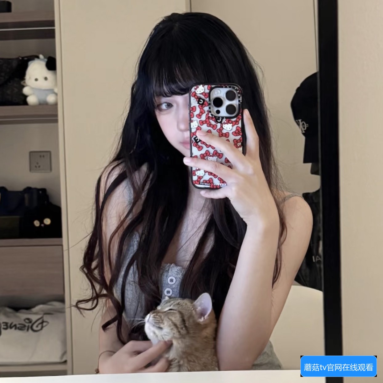 蘑菇TV官网在线观看的方法与常见问题解答