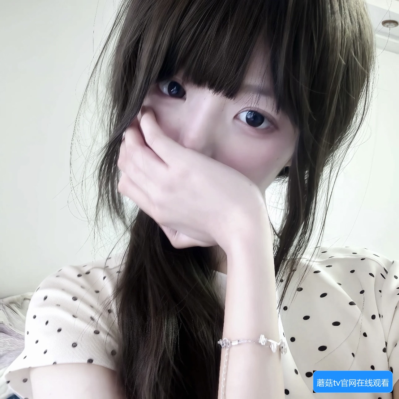 蘑菇TV官网在线观看方法与常见问题解答