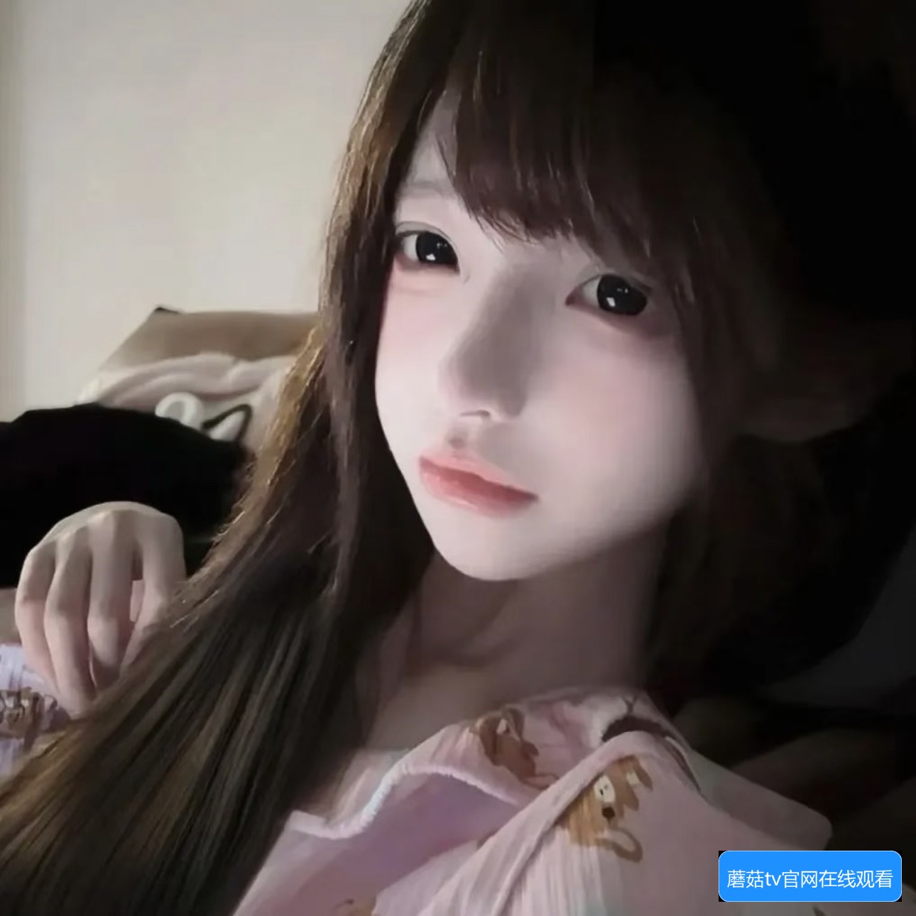 为什么蘑菇TV网页登录后会跳转到其他网页该怎么解决