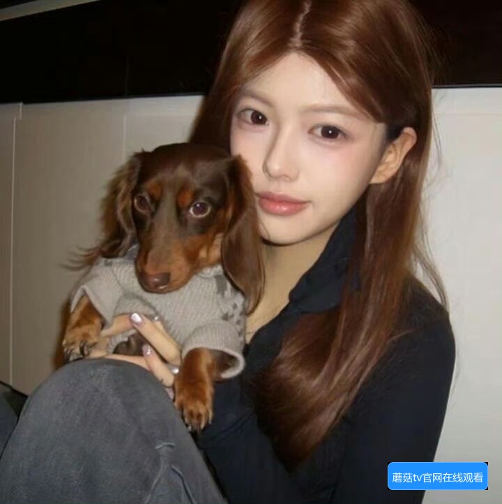 蘑菇TV传媒是什么？它的主要业务和发展前景分析