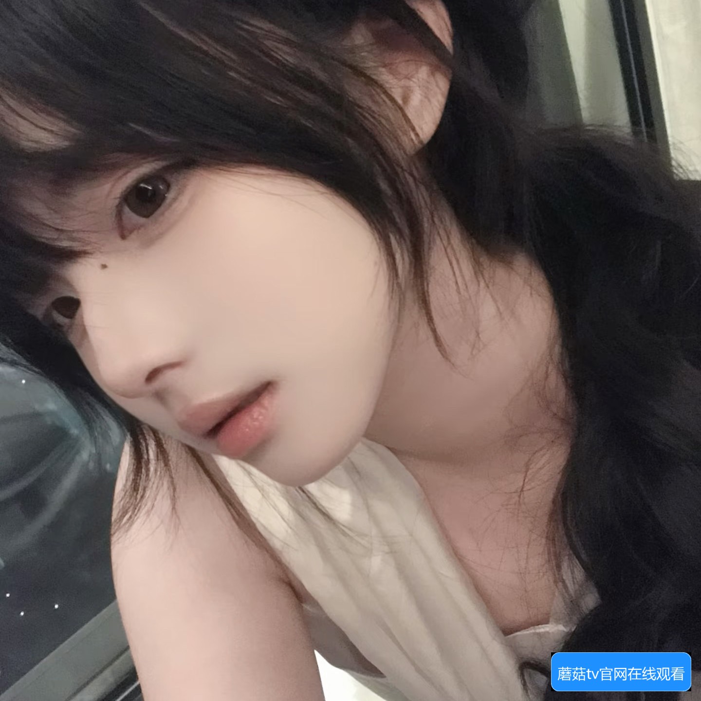 蘑菇TV官网在线观看方法及常见问题解答