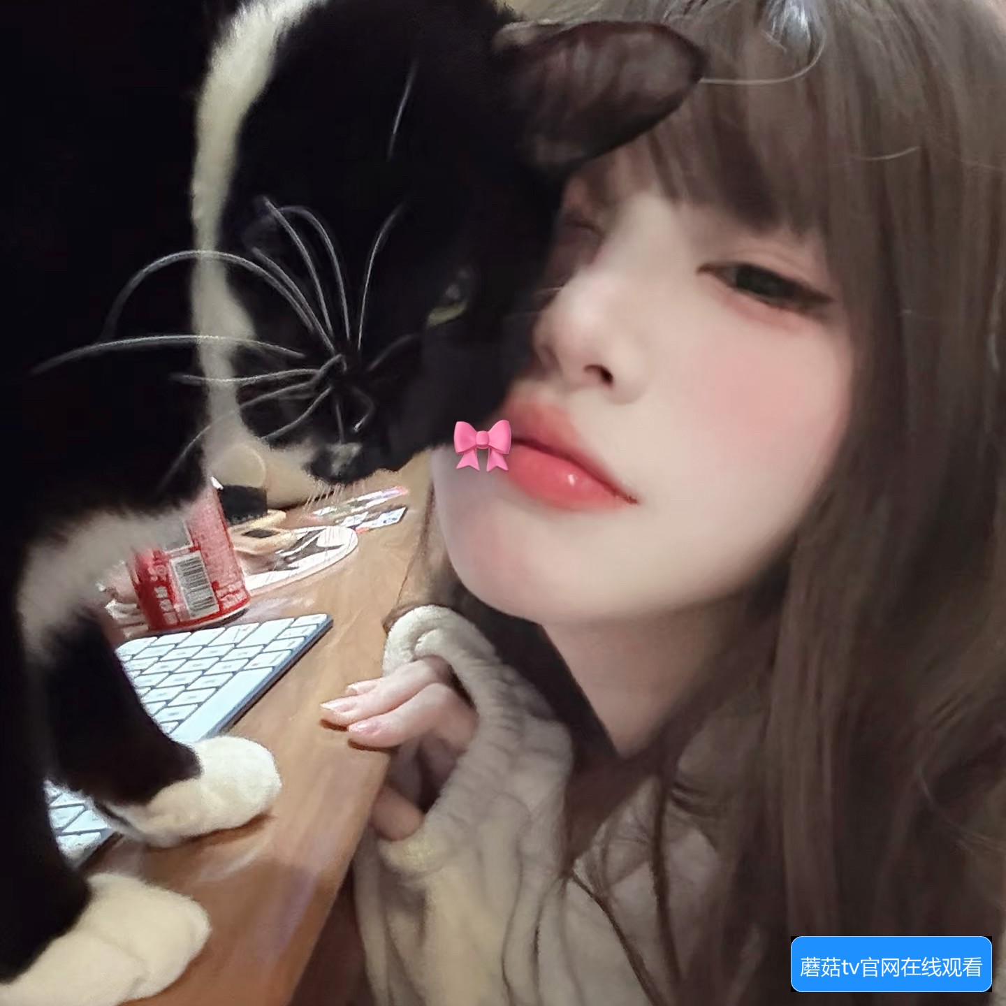 蘑菇TV网页版如何正常使用及常见问题解答