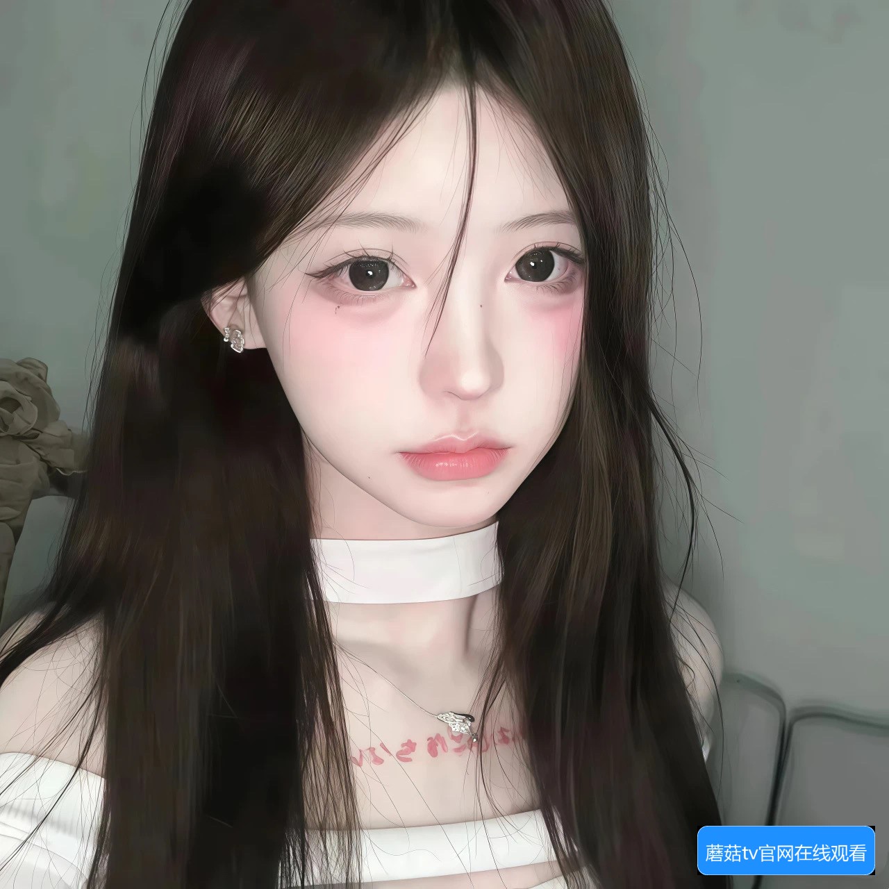 蘑菇TV传媒视频下载界面